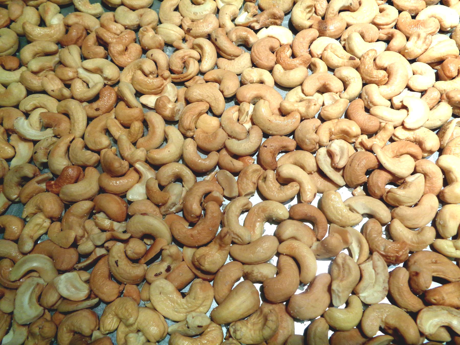 roasted-cashews